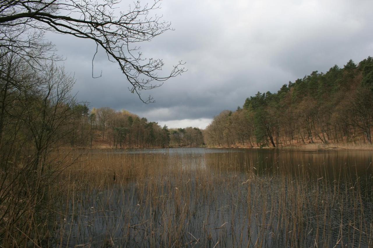 Villa Ustronie Lesne 2 Wisełka Esterno foto