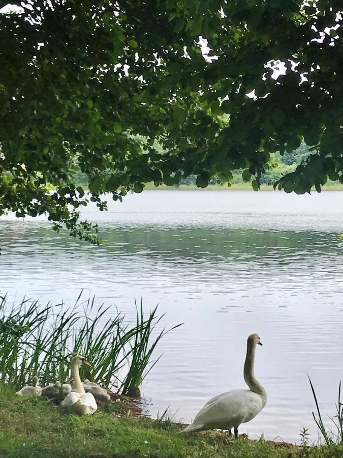 Villa Ustronie Lesne 2 Wisełka Esterno foto